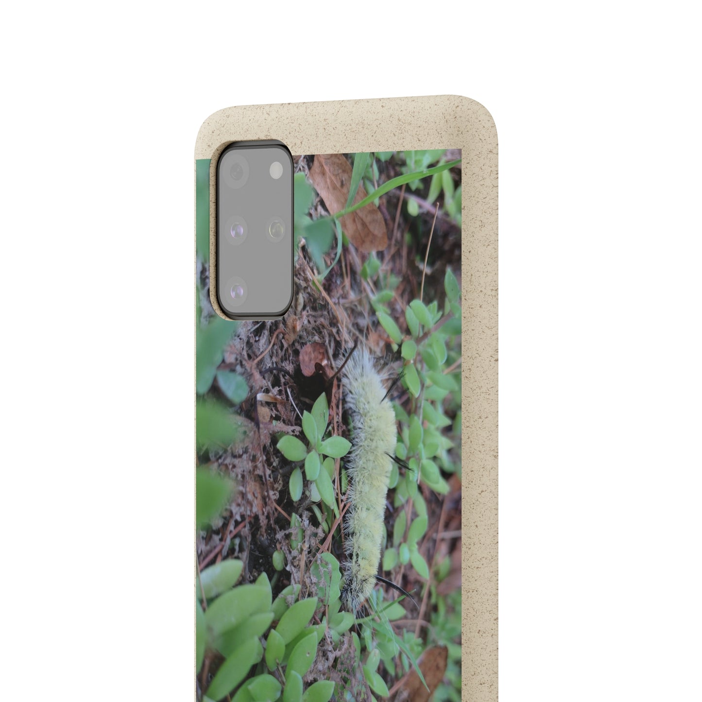 Biodegradable Cases