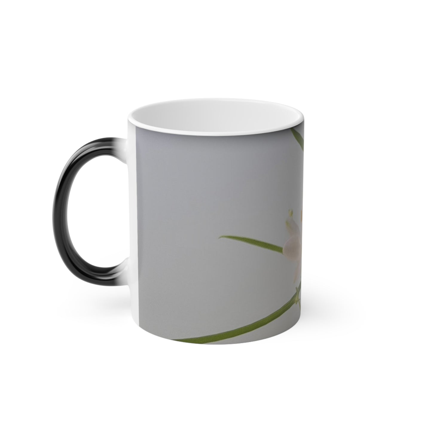 Spider Plant Flowers Magic Mug