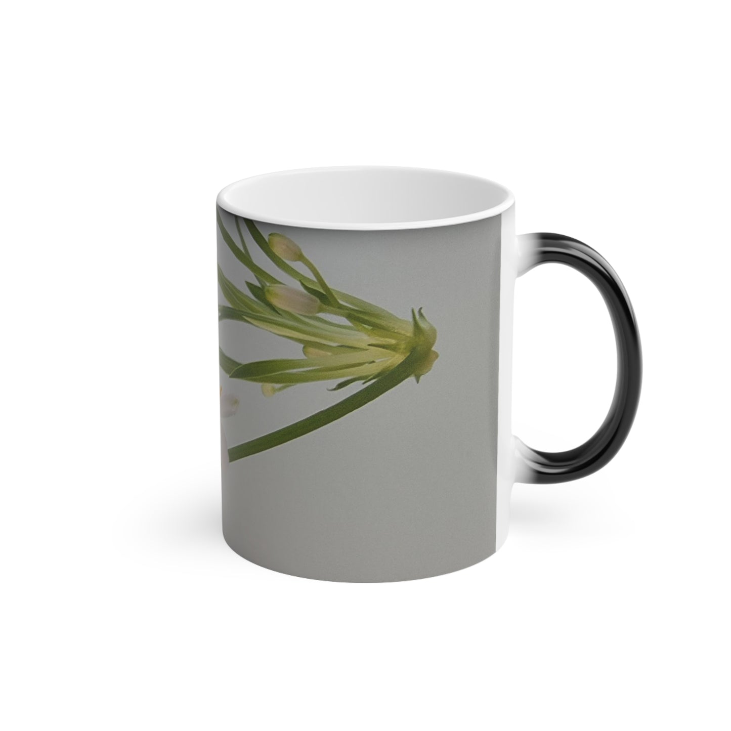 Spider Plant Flowers Magic Mug