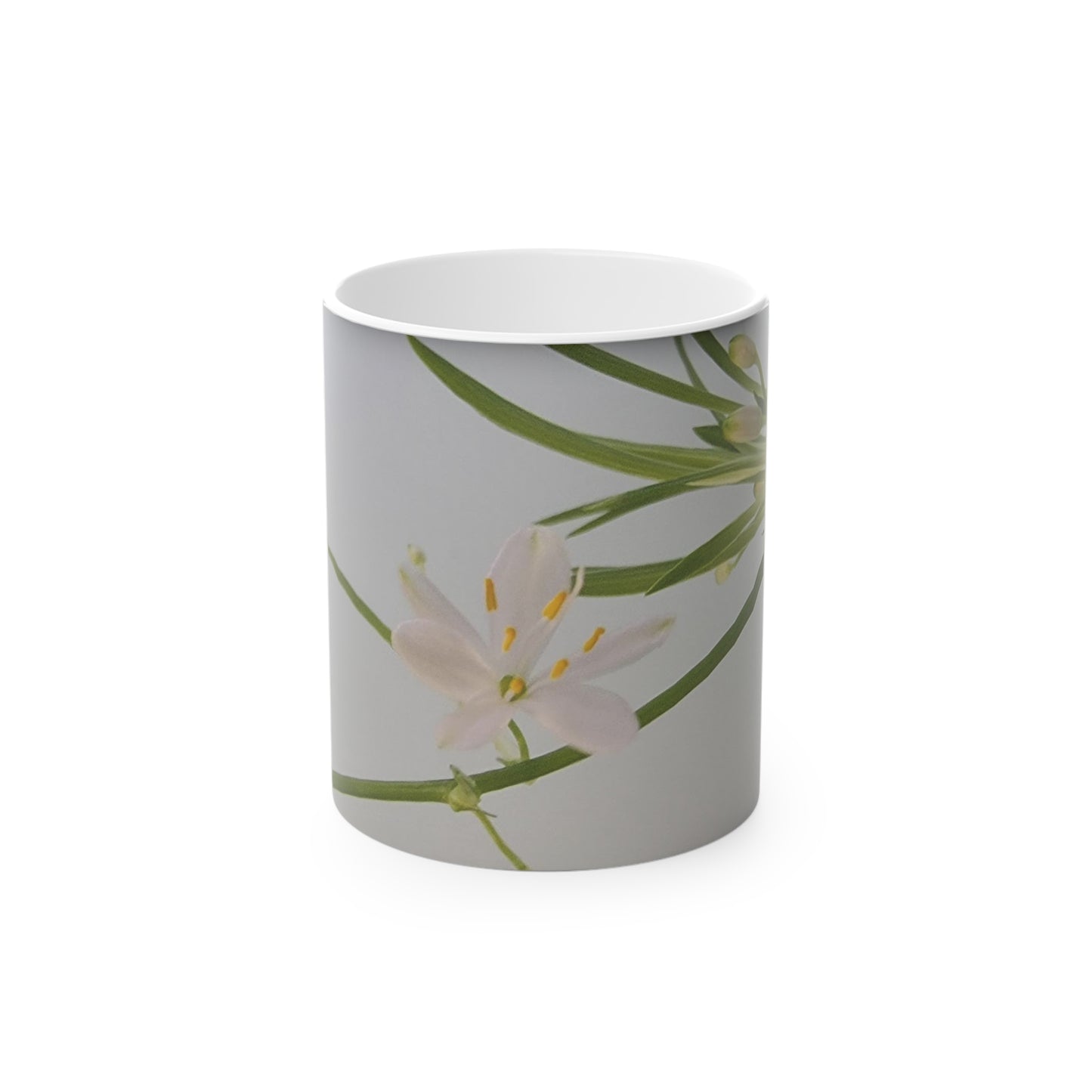 Spider Plant Flowers Magic Mug