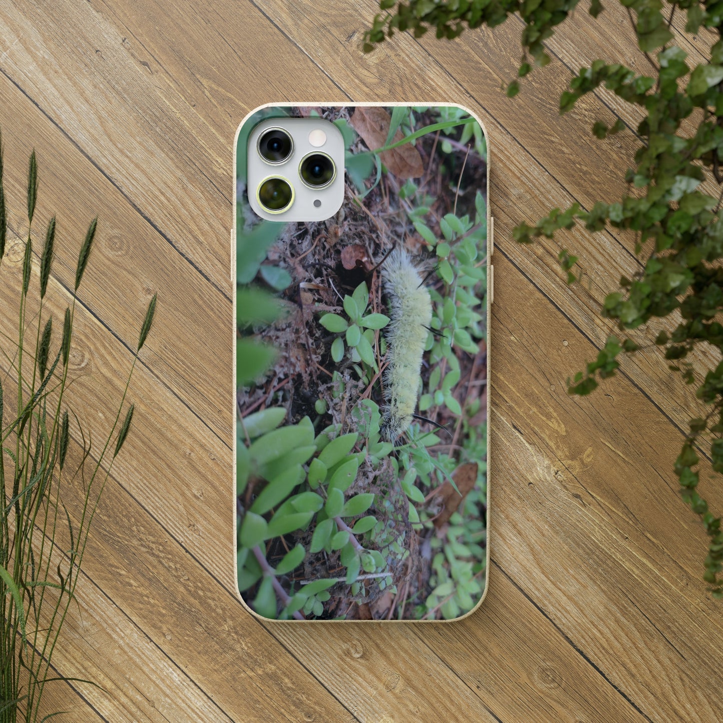 Biodegradable Cases