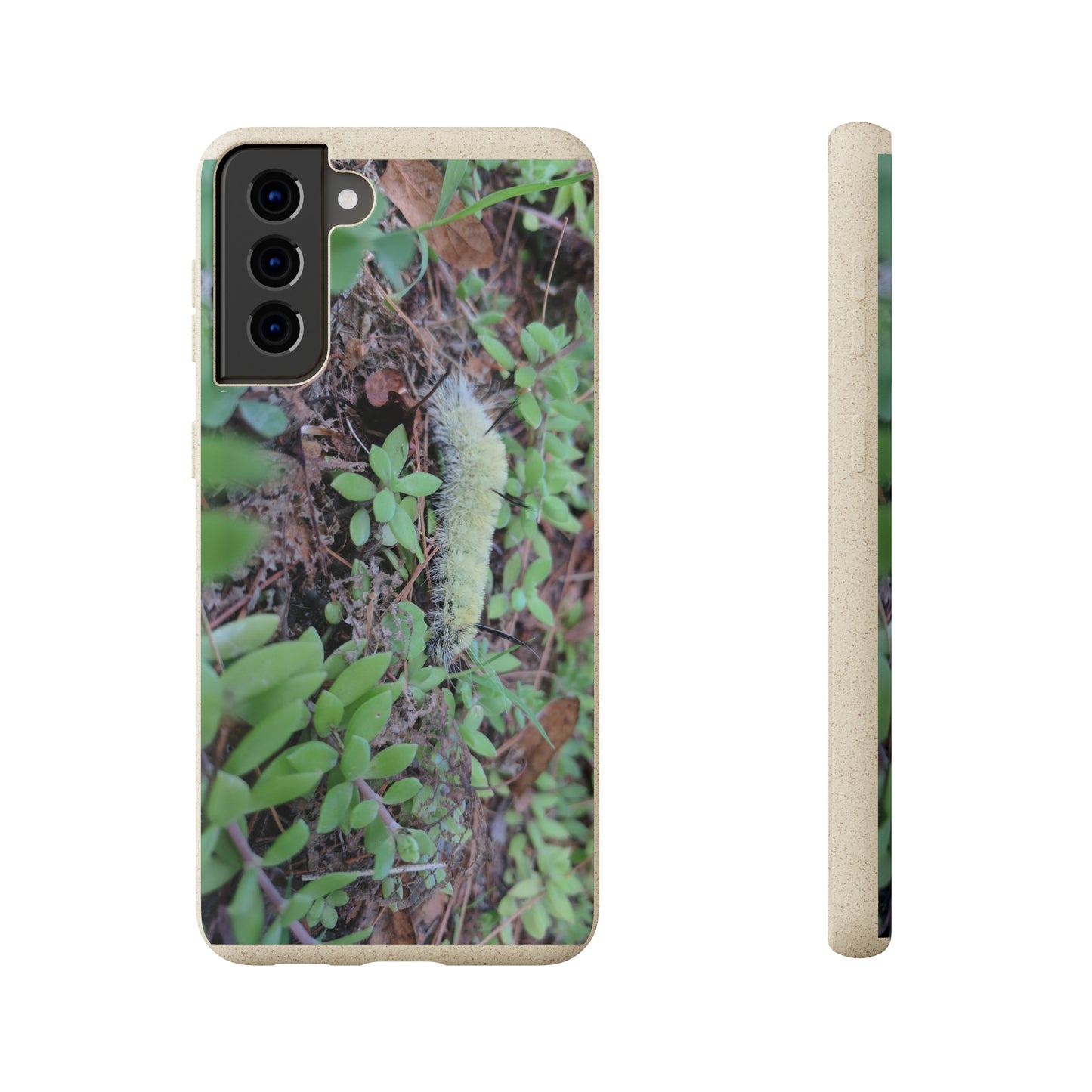 Biodegradable Cases