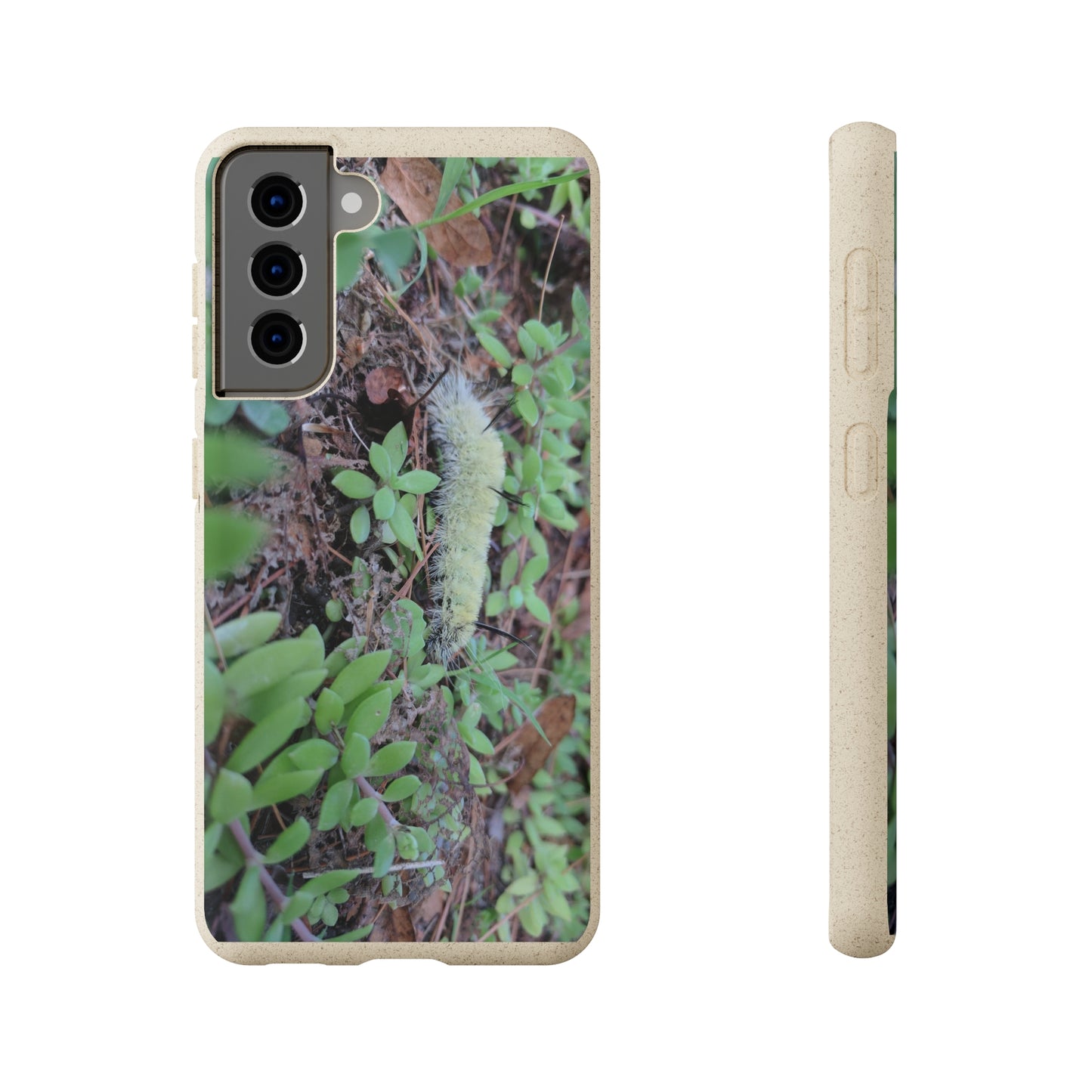 Biodegradable Cases