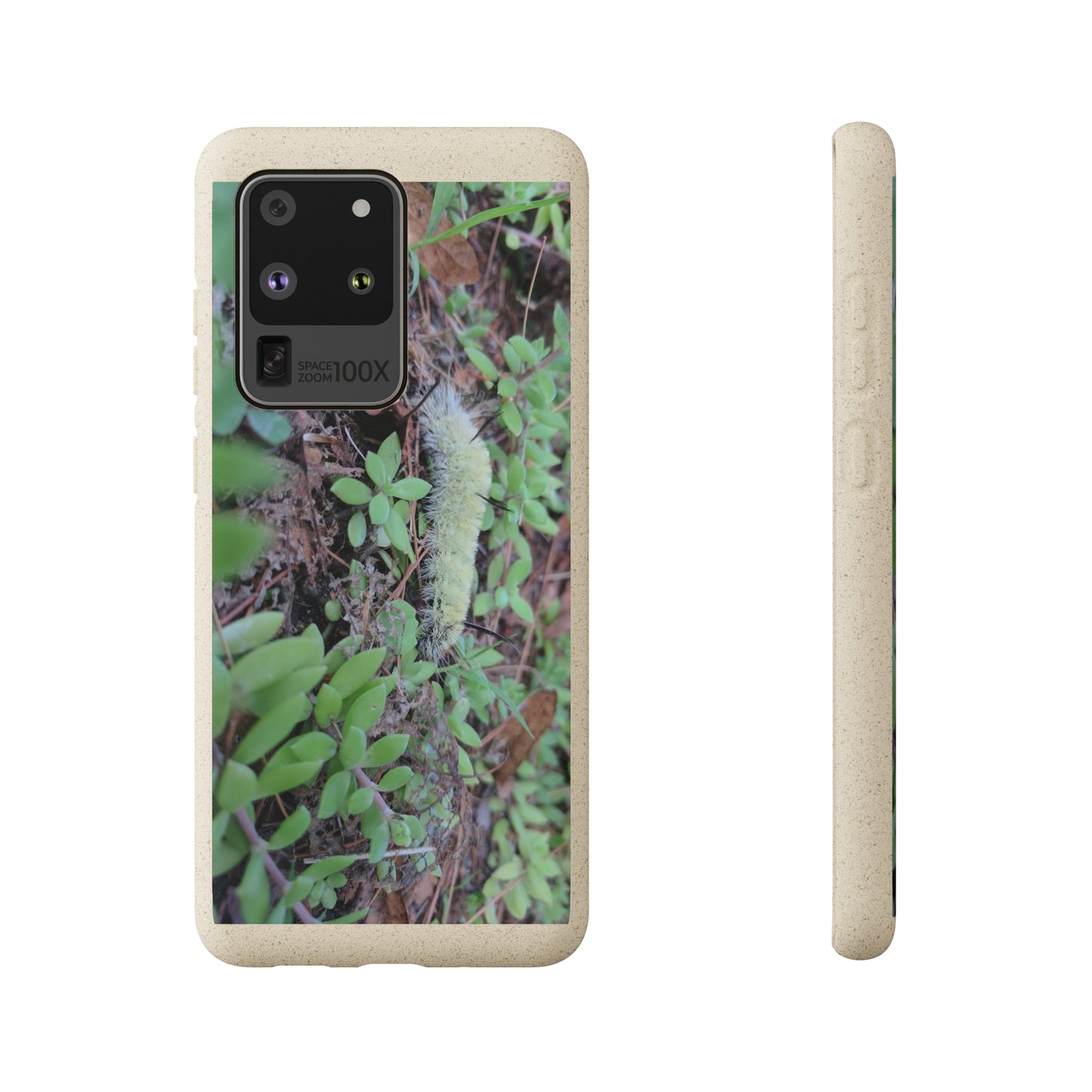 Biodegradable Cases