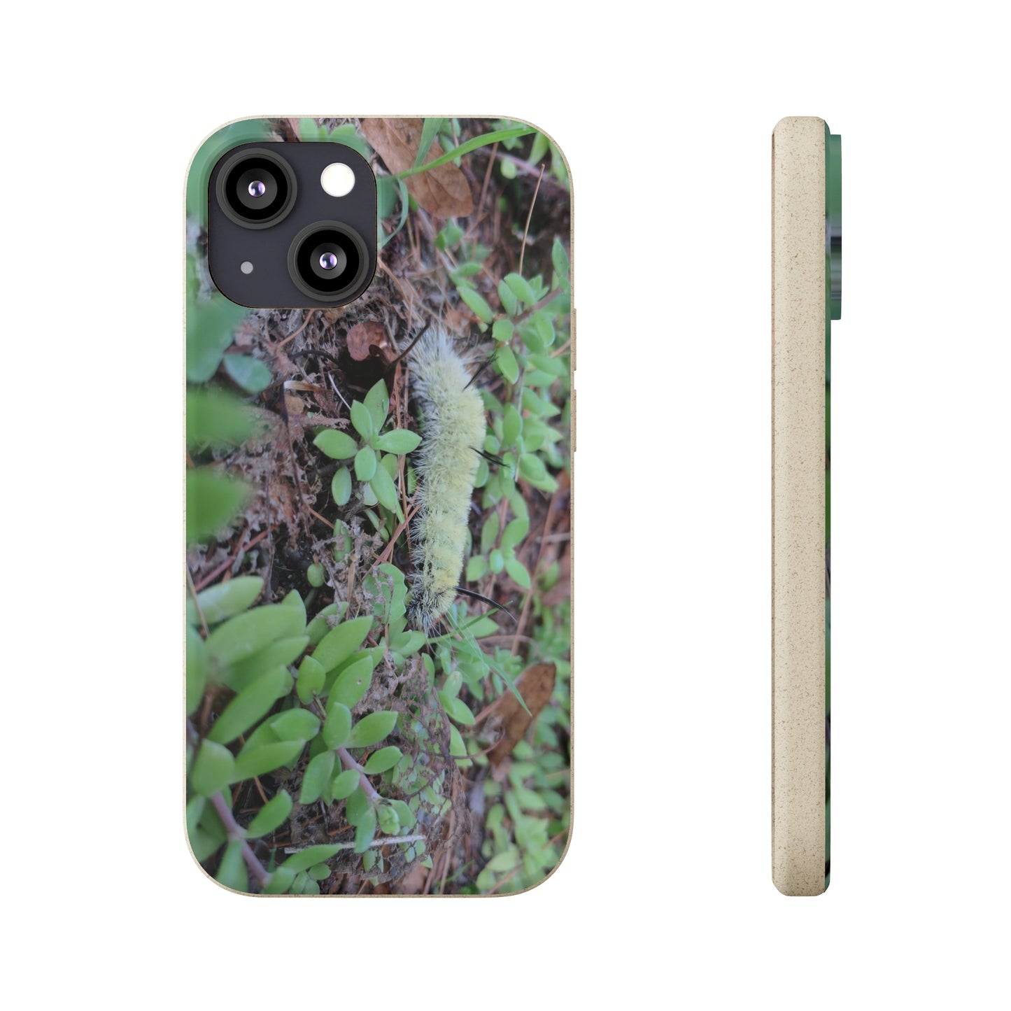 Biodegradable Cases