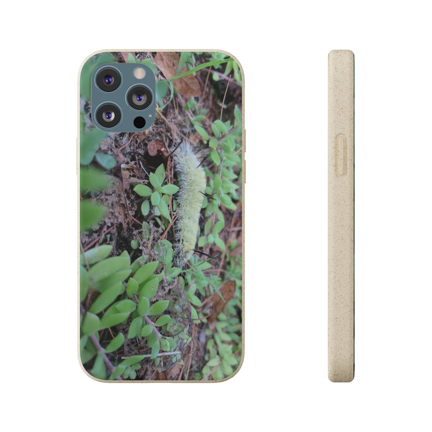 Biodegradable Cases