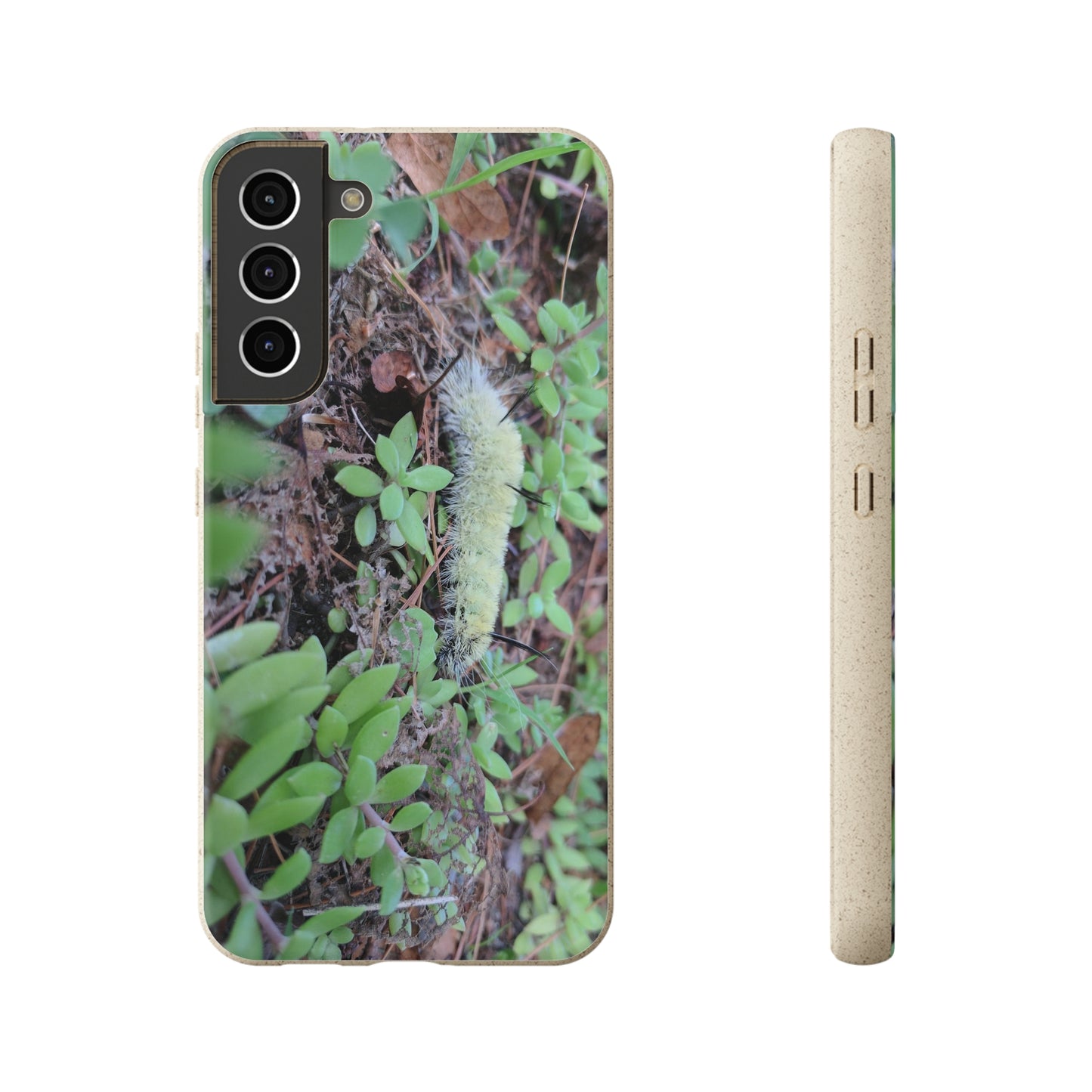 Biodegradable Cases