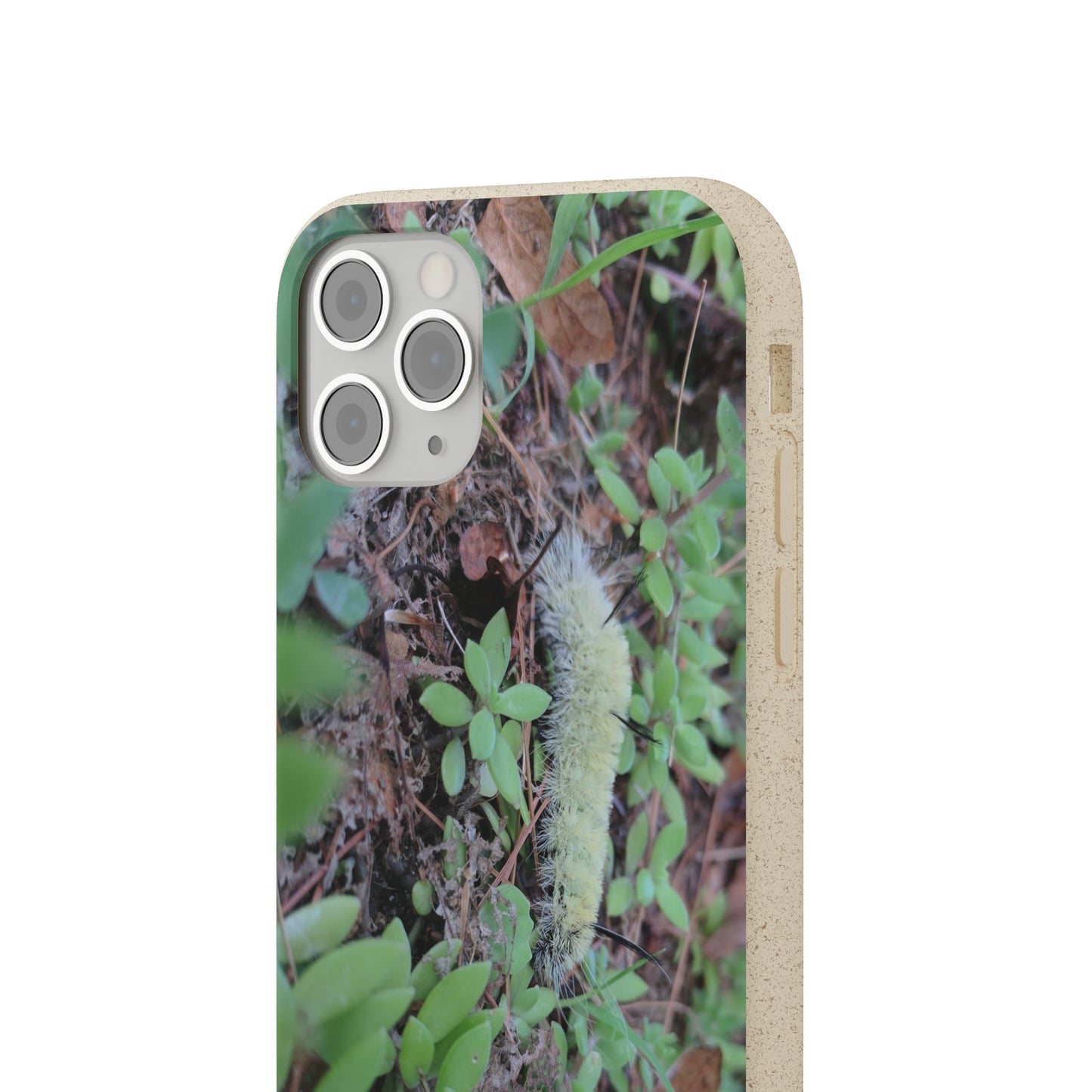 Biodegradable Cases