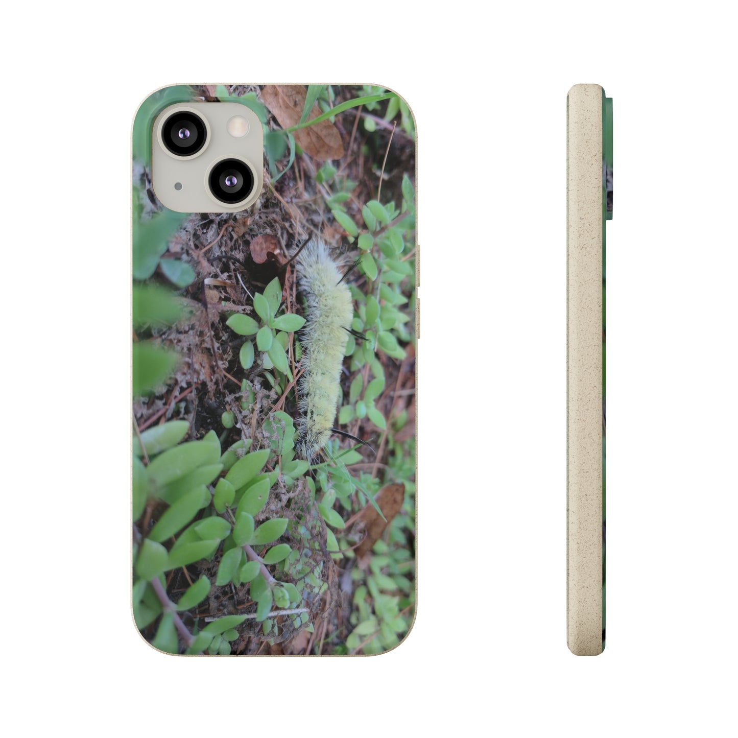 Biodegradable Cases