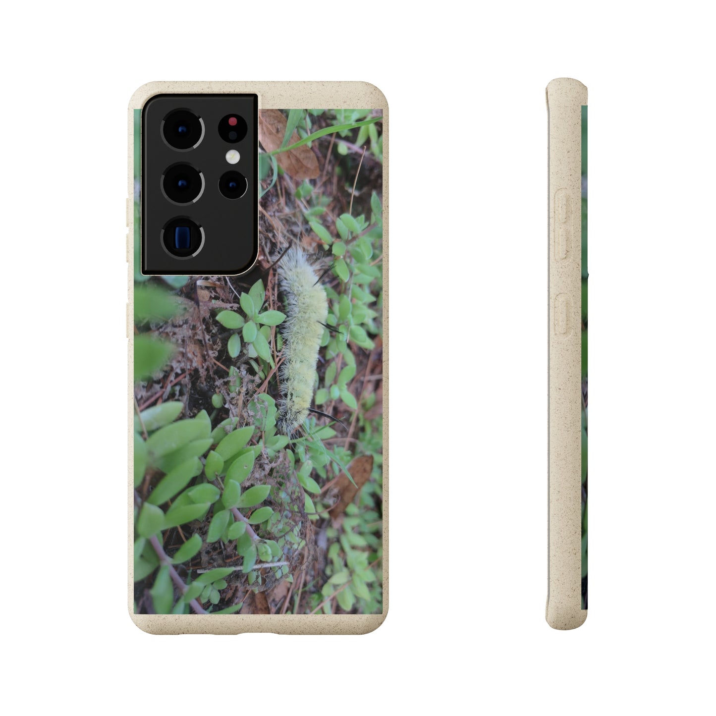 Biodegradable Cases