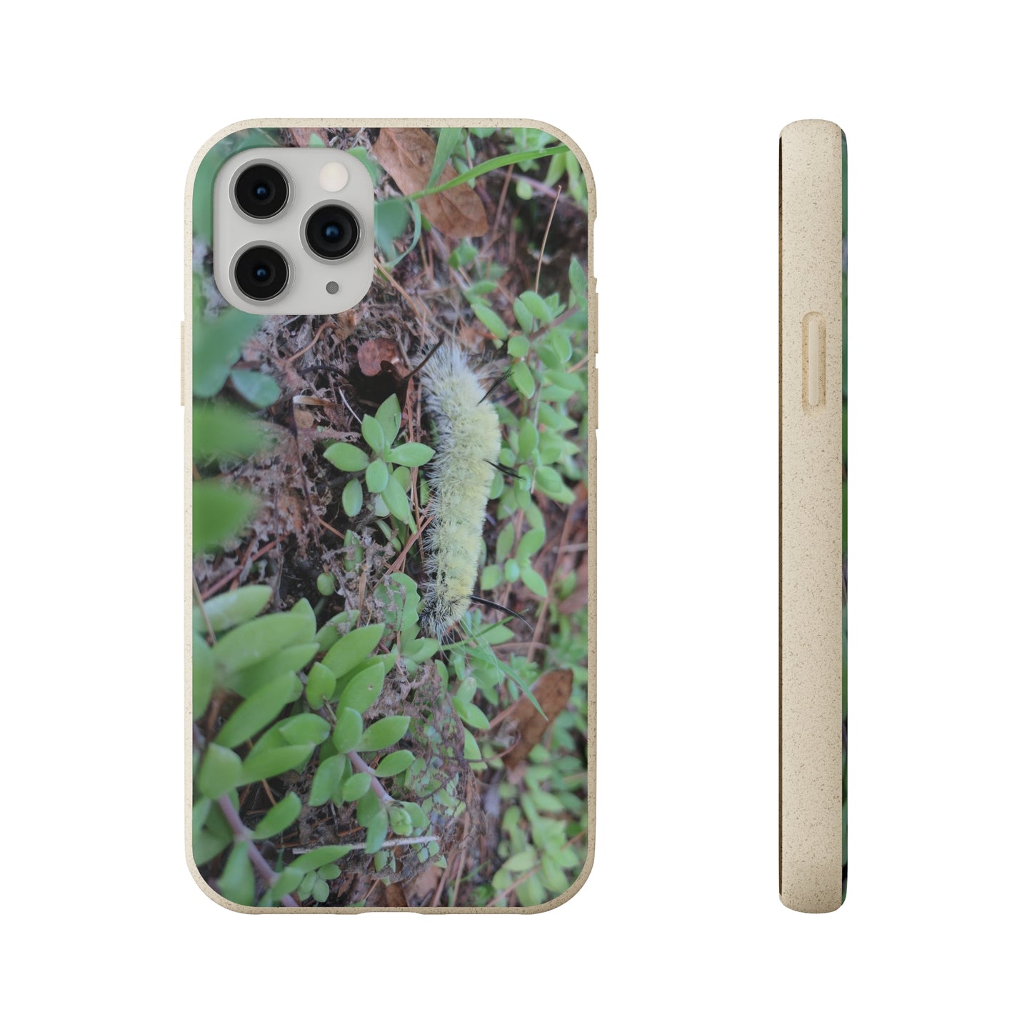 Biodegradable Cases