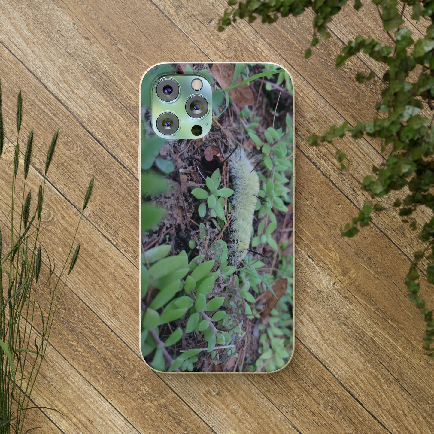 Biodegradable Cases