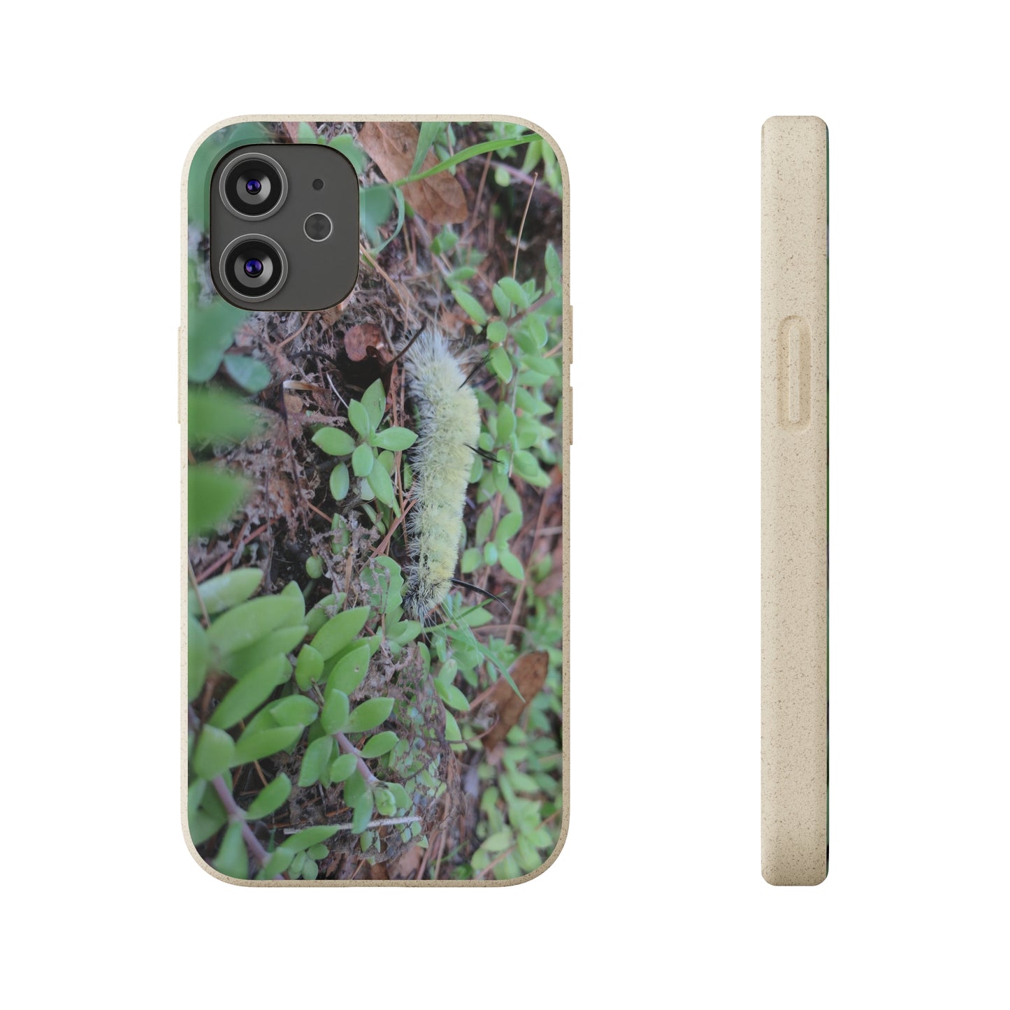 Biodegradable Cases