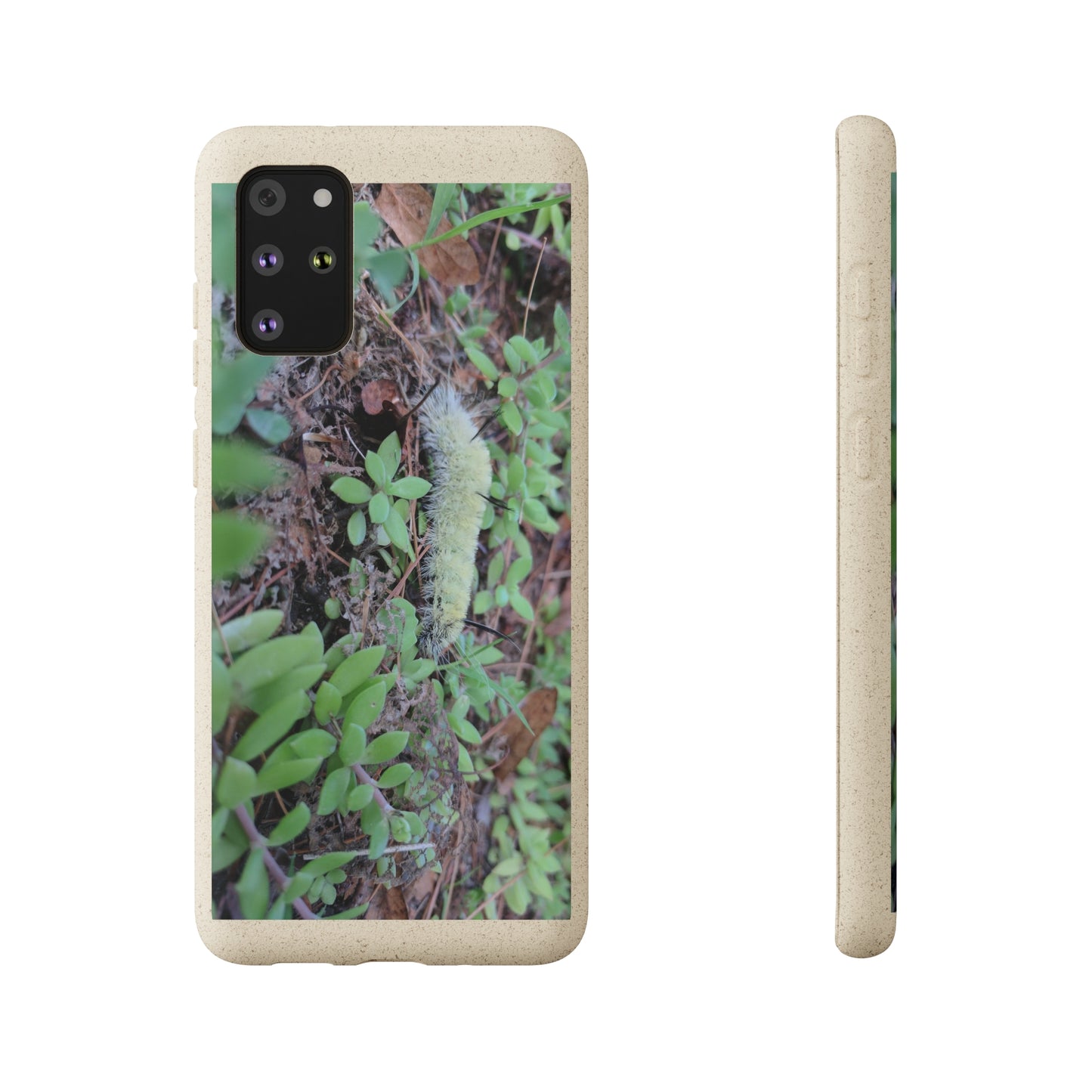 Biodegradable Cases