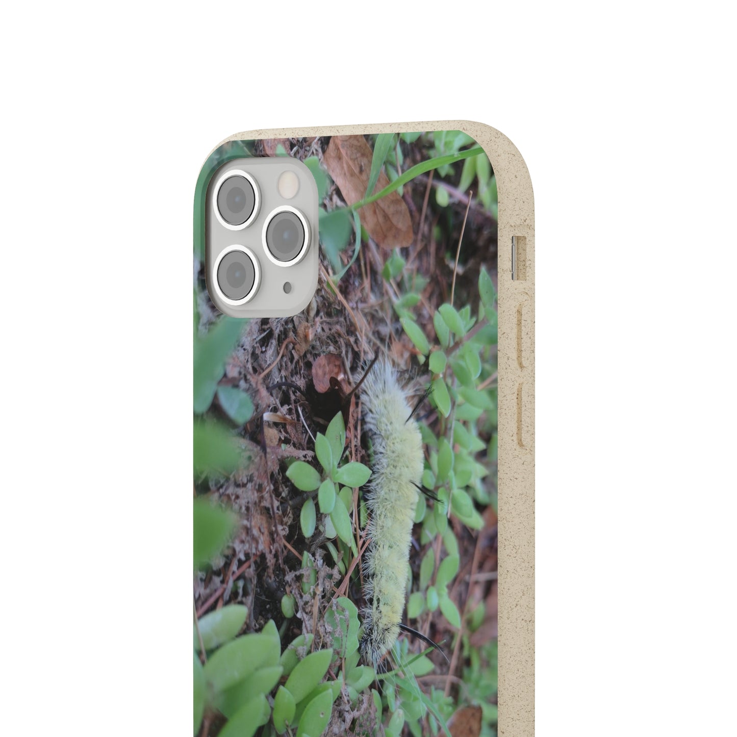 Biodegradable Cases