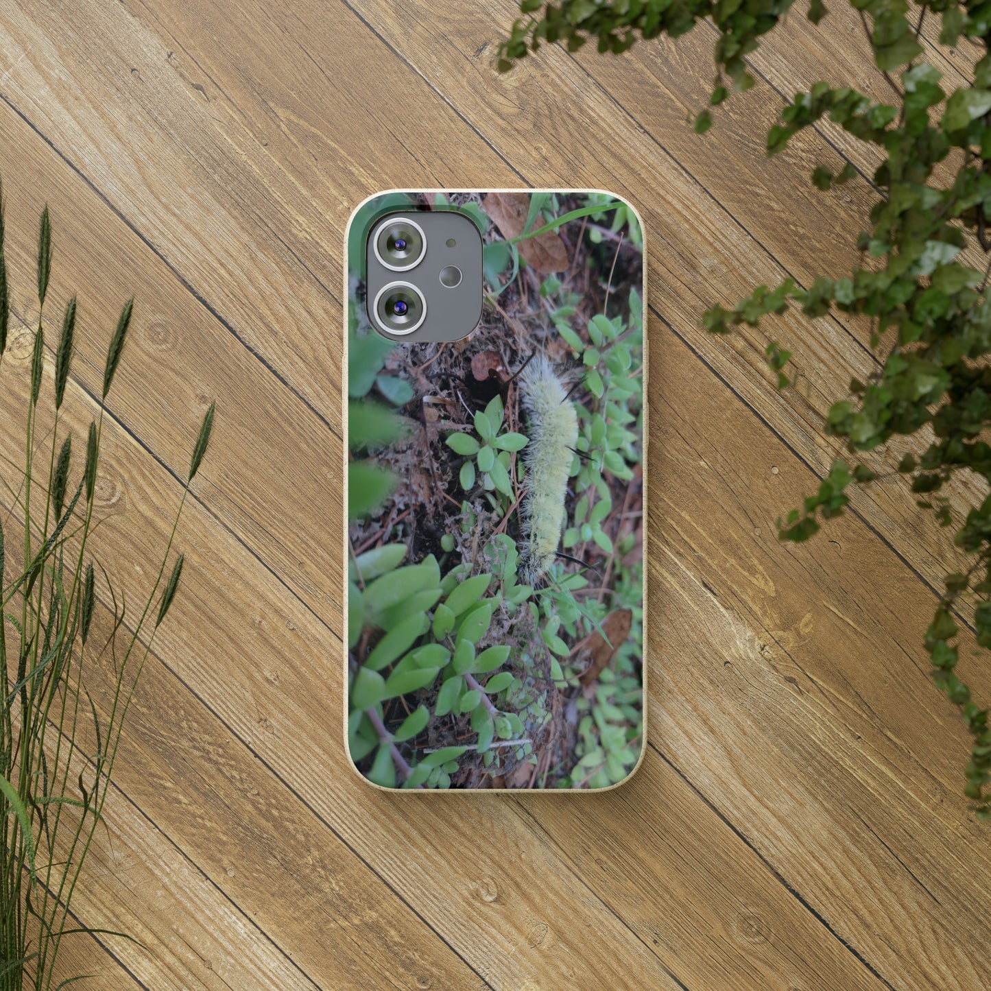 Biodegradable Cases