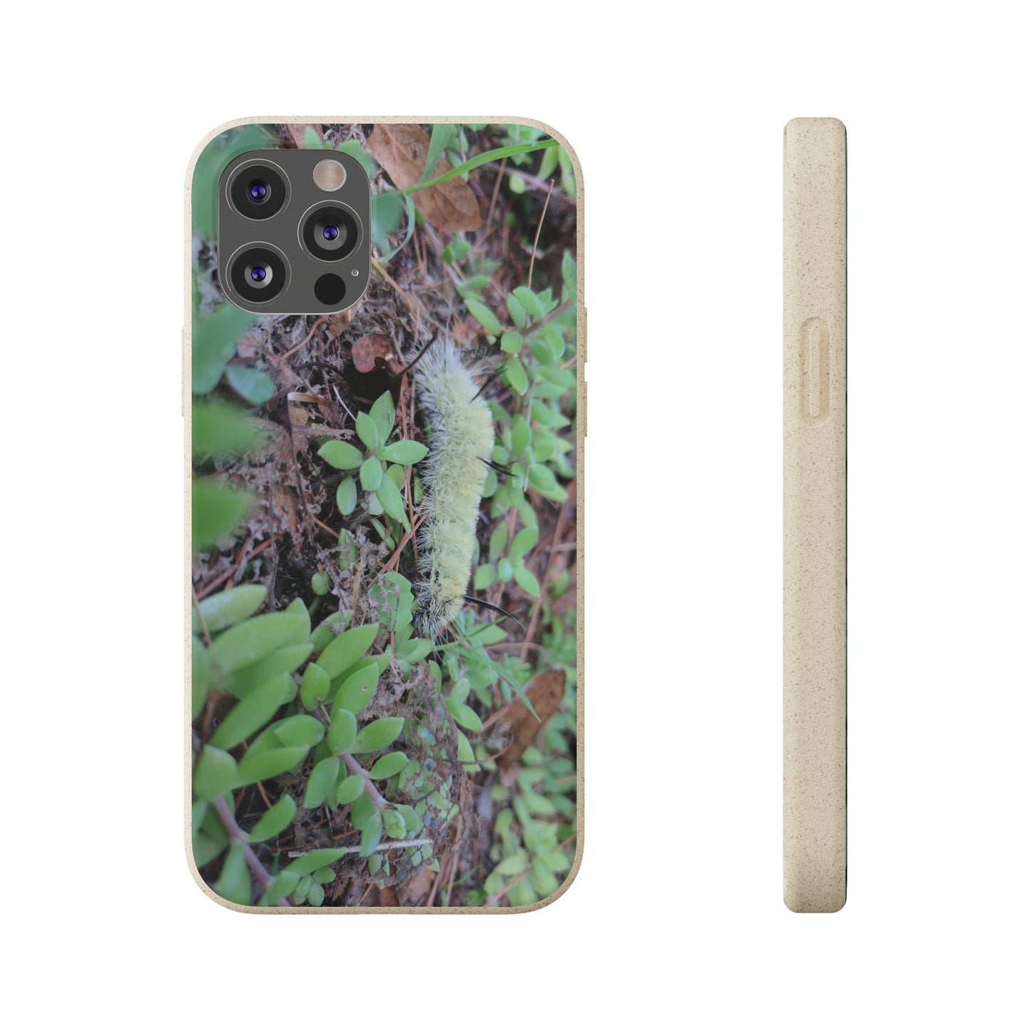 Biodegradable Cases