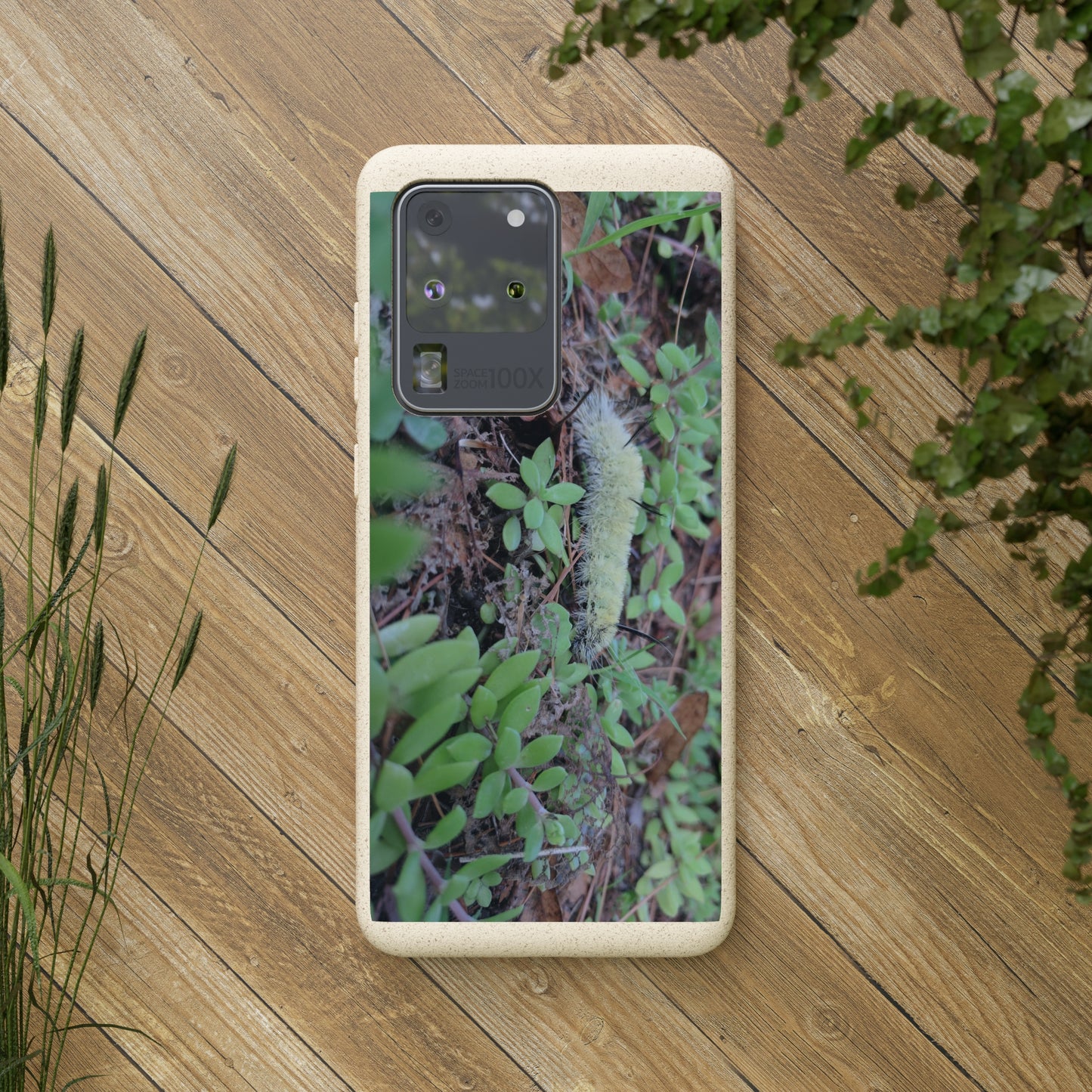 Biodegradable Cases