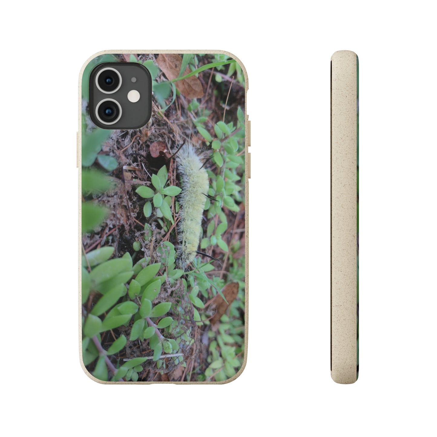 Biodegradable Cases