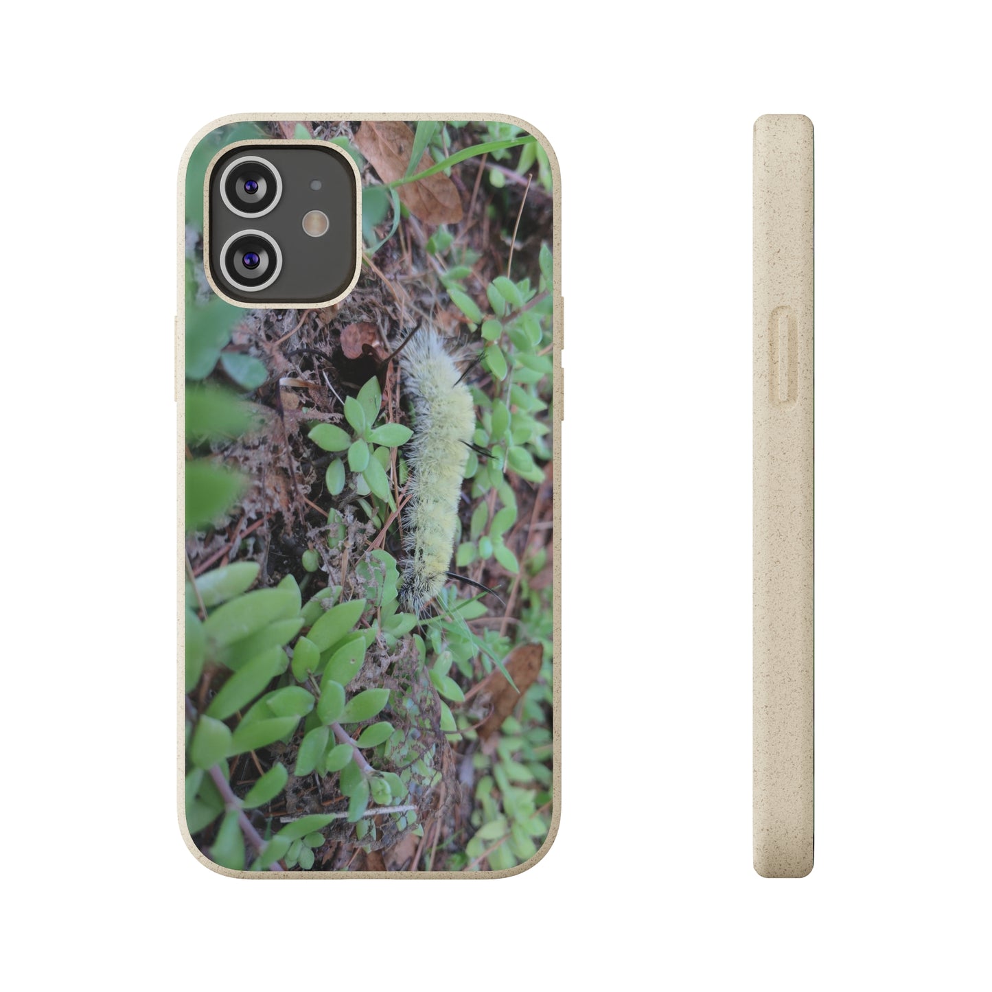 Biodegradable Cases