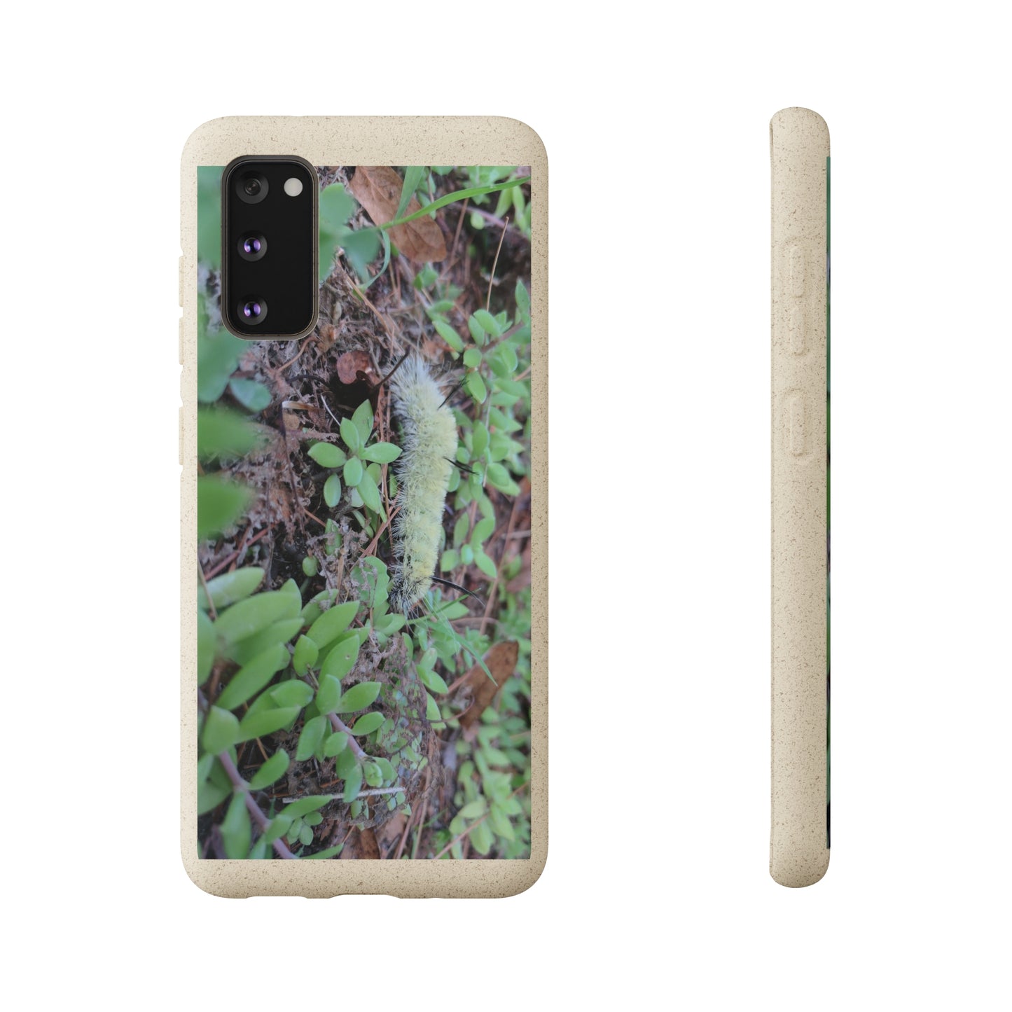 Biodegradable Cases