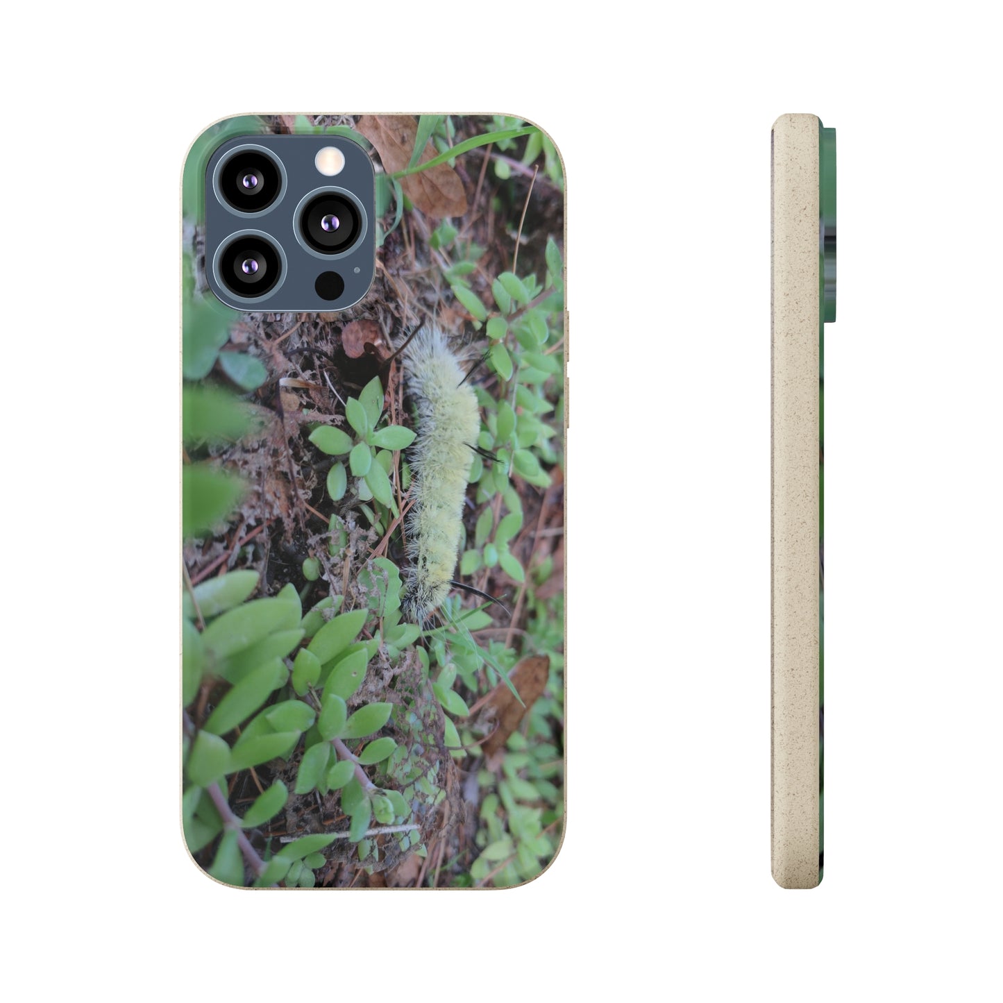 Biodegradable Cases